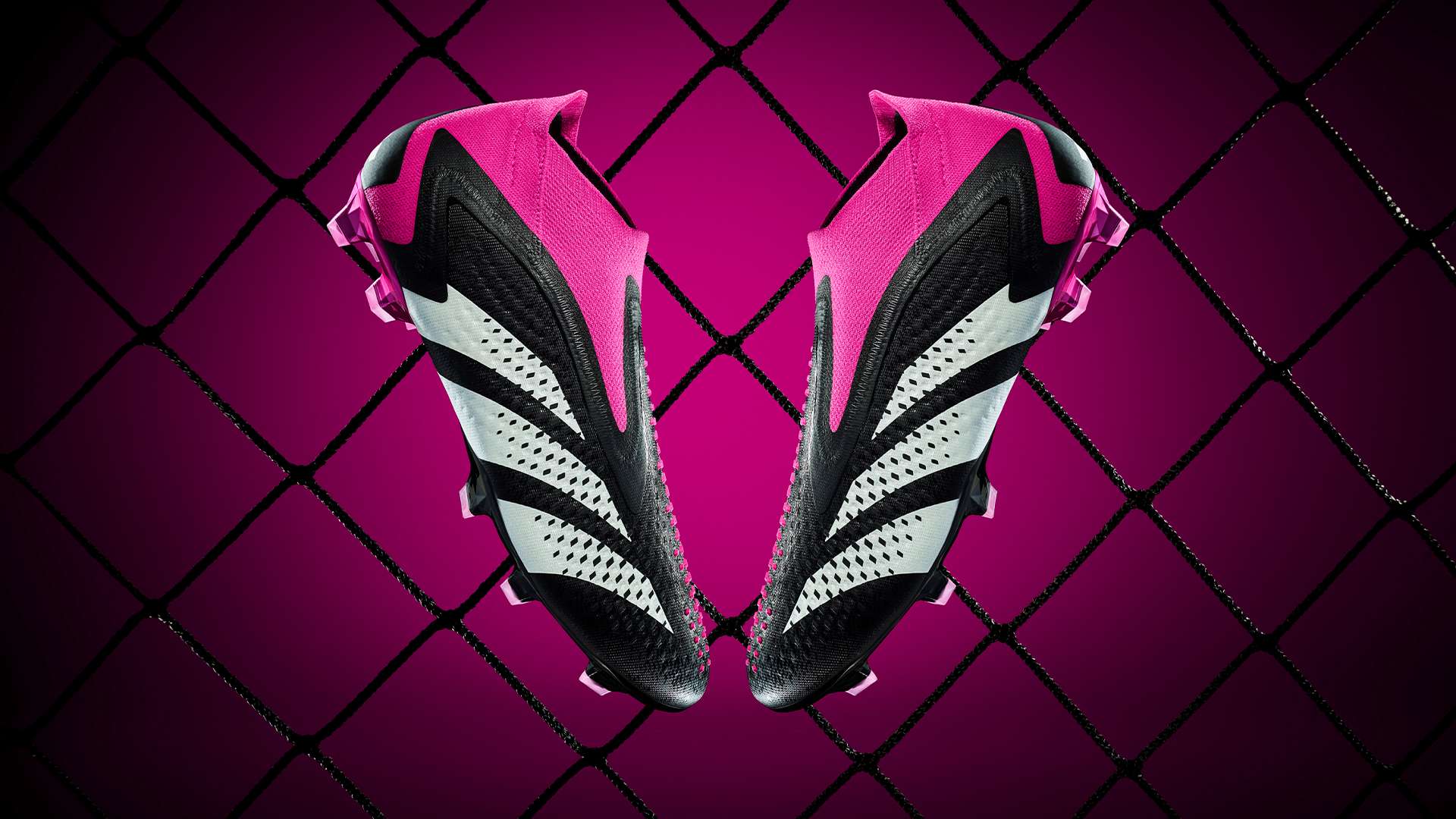 核心斯克希 核心斯克希