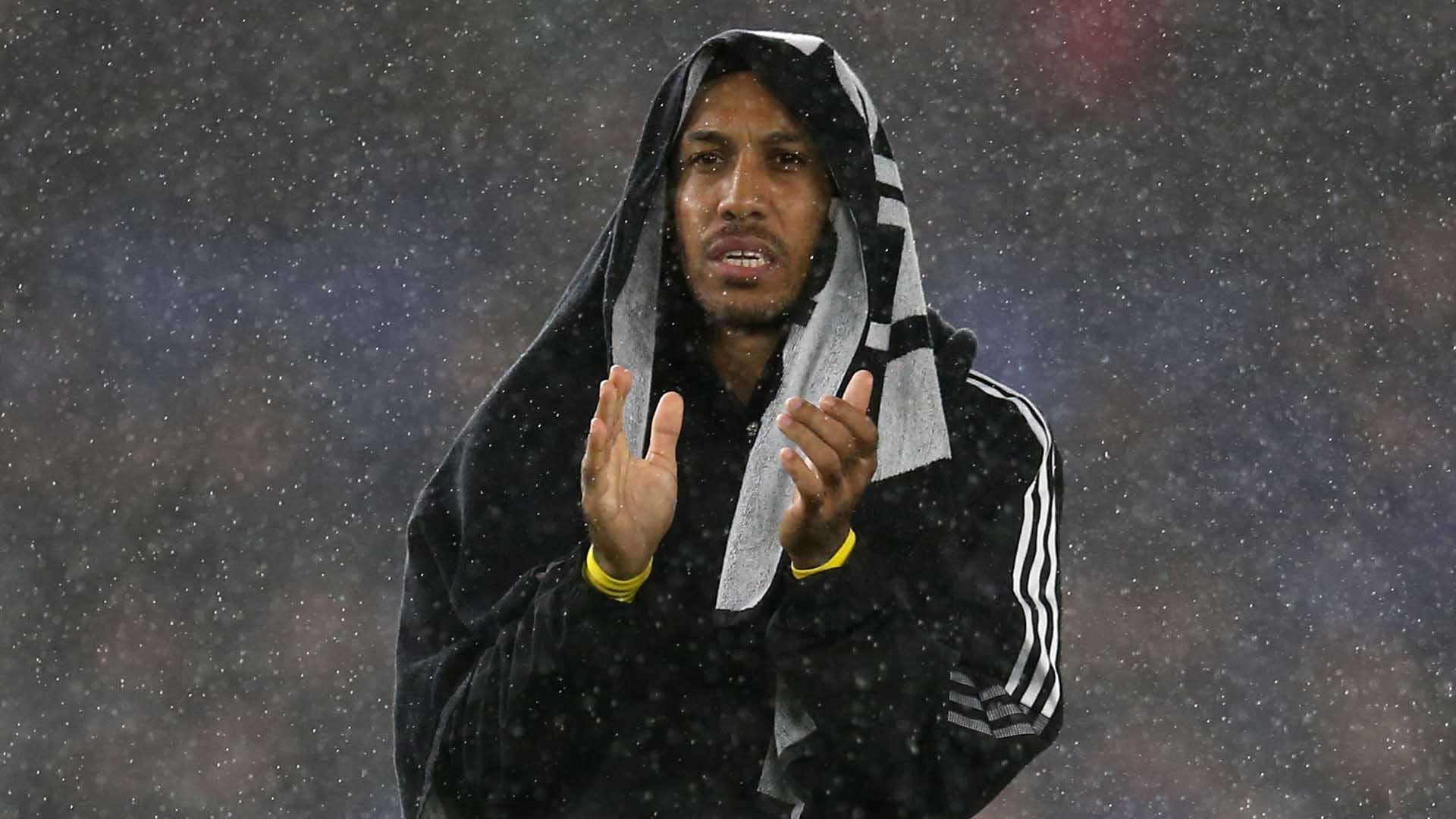 各种文化交 各种文化交